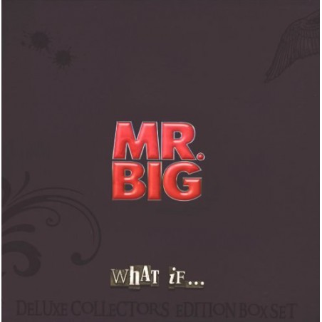 Mr. Big ‎– What If... (LP Box Set)