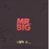 Mr. Big ‎– What If... (LP Box Set)